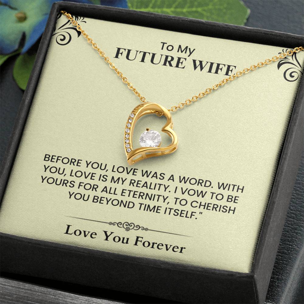 To My Future Wife Sparkling Heart Pendant Necklace Romantic Gift forever Love Necklace